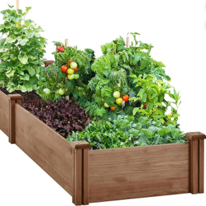 Junior Vegetable Raised Bed