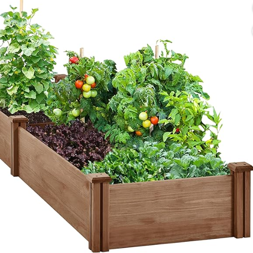Junior Vegetable Raised Bed